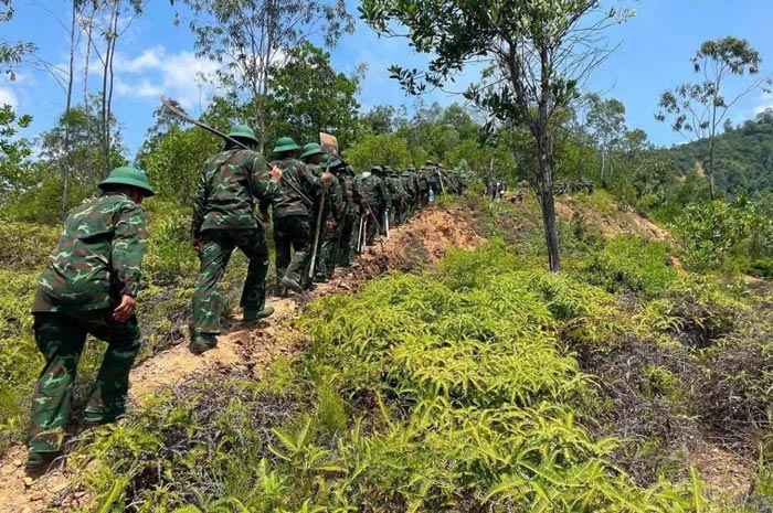 Military forces are urgently mobilized to save forests in Que Phuoc, Da Nang. Photo: Que Phuoc Commune People's Committee