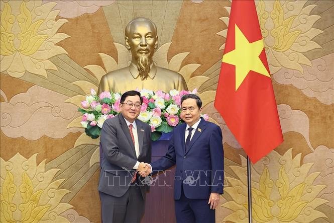 Politburo Member, National Assembly Chairman Tran Thanh Man receives Malaysian Ambassador to Vietnam Tan Yang Thai. Photo: VNA
