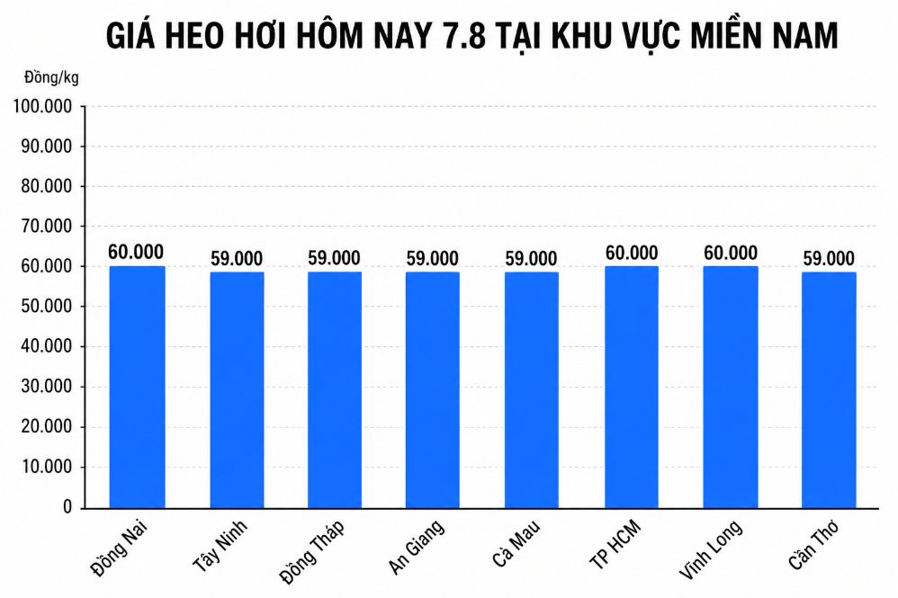 Giá heo hơi hôm nay 7.8 tại khu vực miền Nam. Đồ họa sử dụng AI