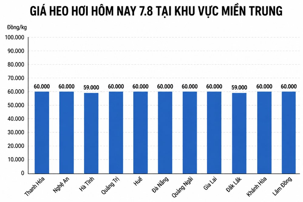 Giá heo hơi hôm nay 7.8 tại khu vực miền Trung. Đồ họa sử dụng AI