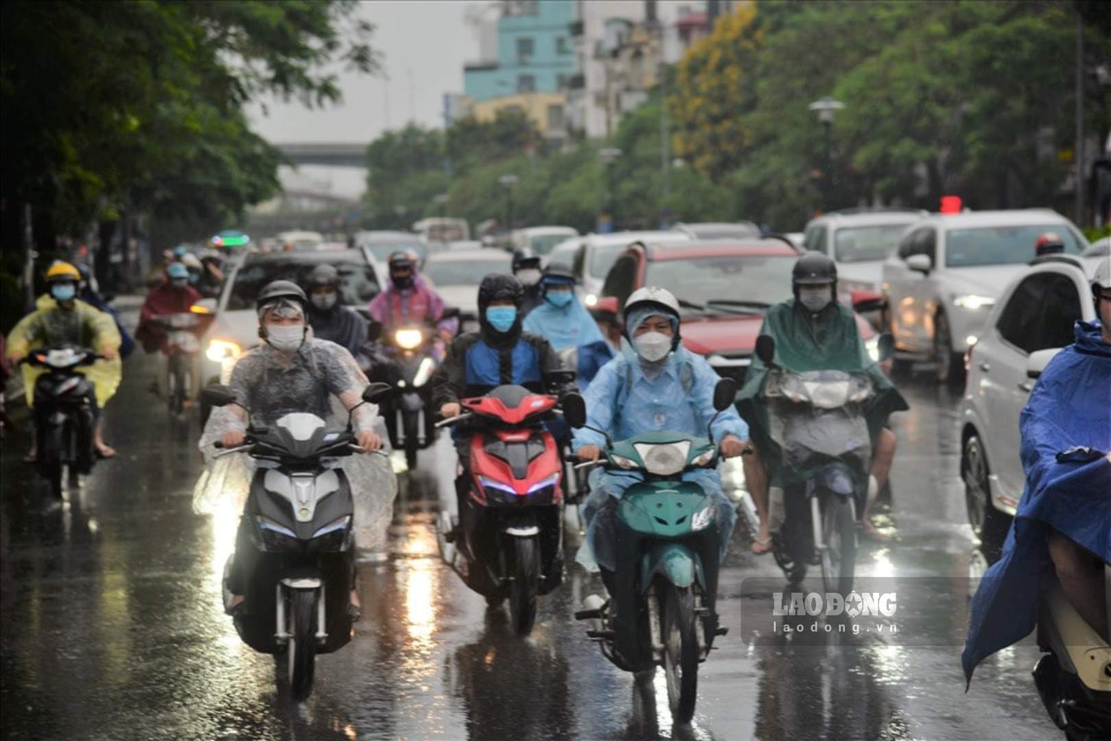 The North had rain this morning, August 7. Photo: Tung Giang