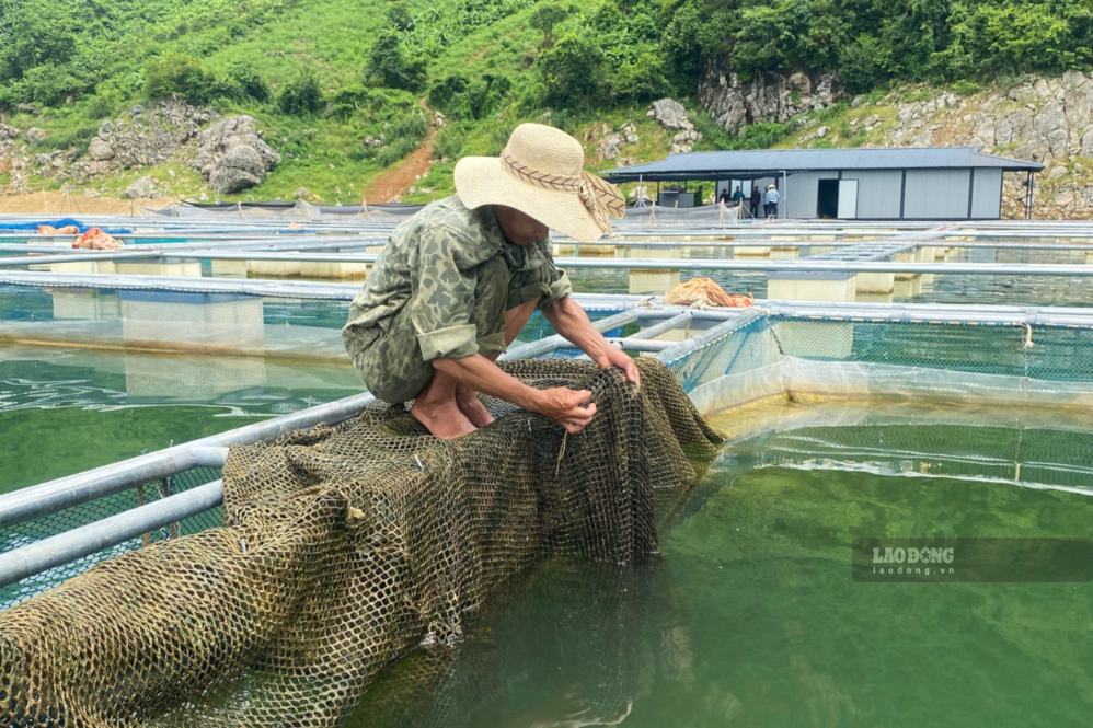 Người nuôi cá xã Mường La kiểm tra lưới và lồng bè trước mua lũ. Ảnh: Trường Sơn 