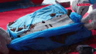 Identifying artifacts of martyr Nguyen Van Thuan.