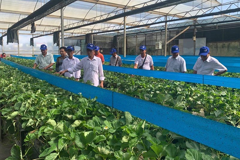 Người có uy tín TP. Cần Thơ khảo sát nhiều mô hình phát triển kinh tế, giảm nghèo bền vững, nông nghiệp ứng dụng công nghệ cao tại các địa phương. Ảnh: Sở DTTG TP. Cần Thơ