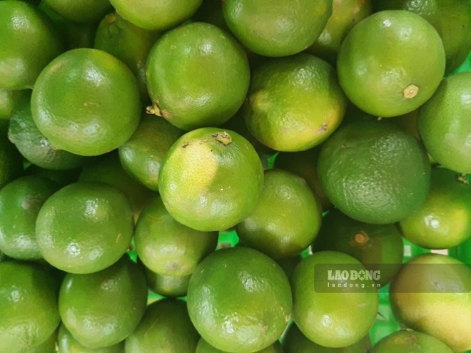 El jugo de limón mezclado con miel no aumenta el ácido úrico si se usa con moderación. Foto: Hạ Mây.