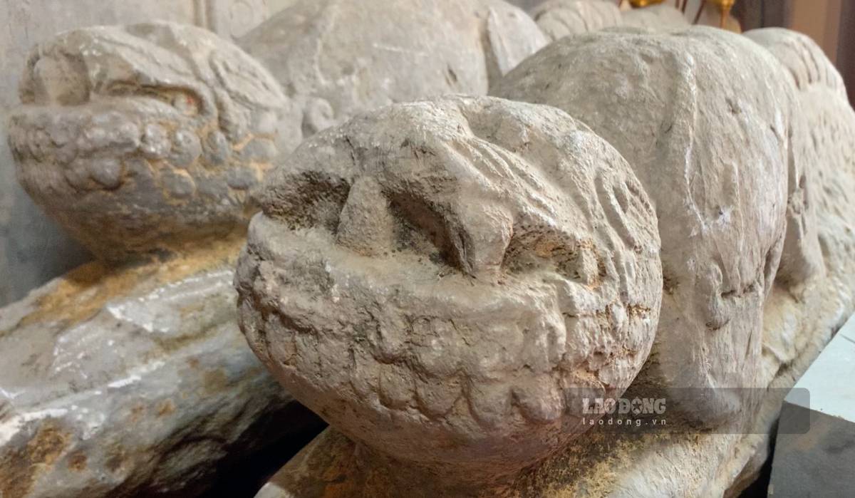 Paire d'anciens crocodiles de plus de 400 ans au temple de La Van, commune de Quynh Phu, province de Hung Yen. Photo de : Luong Ha