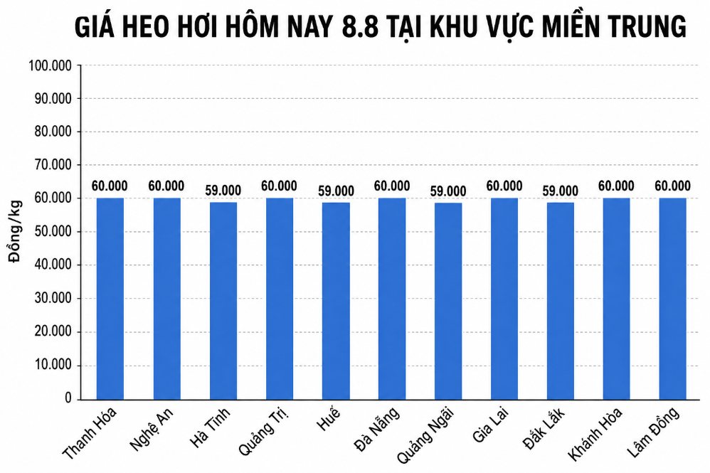 Giá heo hơi hôm nay 8.8 tại khu vực miền Trung. Đồ họa sử dụng AI