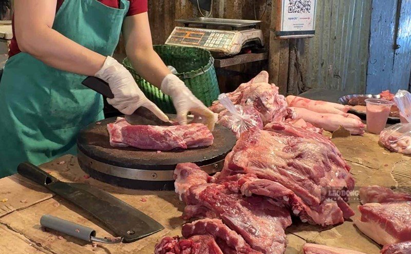 Le prix du porc vivant aujourd'hui n'a pas encore mis fin à la série de baisses de prix. Photo: Thùy Linh