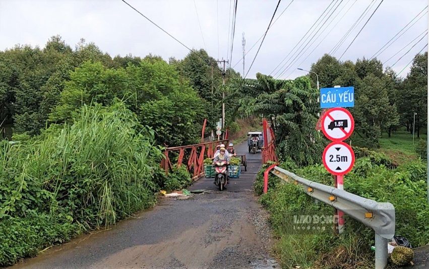 Cầu Ba Vì nối vùng chuyên canh sầu riêng hàng nghìn ha với Quốc lộ 20 - trung tâm xã Đạ Huoai 2 (Lâm Đồng). Ảnh: Phúc Khánh