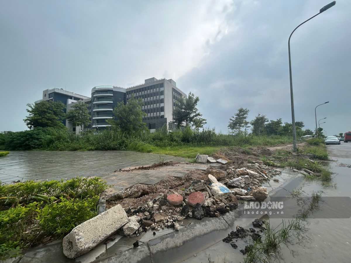 Khu vực bên ngoài Bệnh viện Đa khoa Nam Định tình trạng cỏ dại mọc um tùm, nhếch nhác. Ảnh: Lương Hà