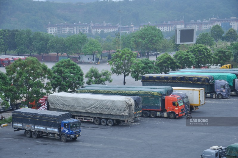 Cửa khẩu thông minh được kỳ vọng nâng cao năng lực thông quan, giảm thời gian và chi phí logistics. Ảnh: Đinh Đại