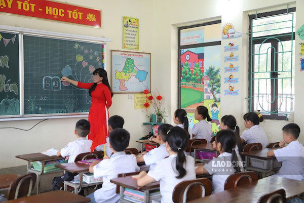The Ministry of Education and Training has just issued guidelines on the conditions for library staff to switch to primary school teachers. Photo: Tuong Van