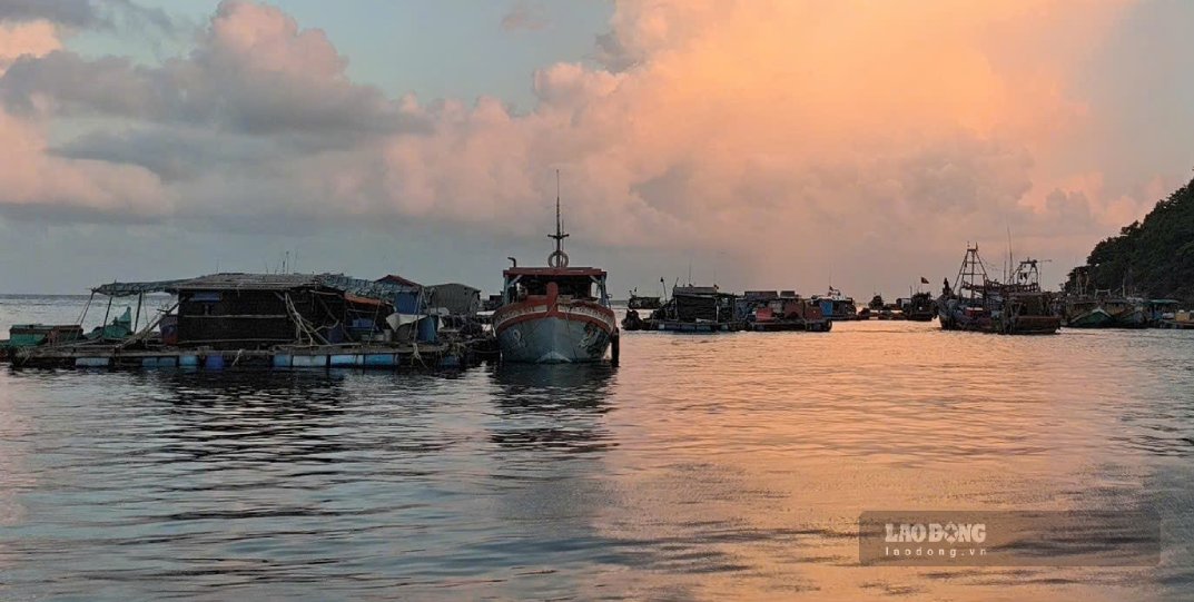 Cà Mau siết chặt quản lý khai thác thuỷ sản. Ảnh: Nhật Hồ.