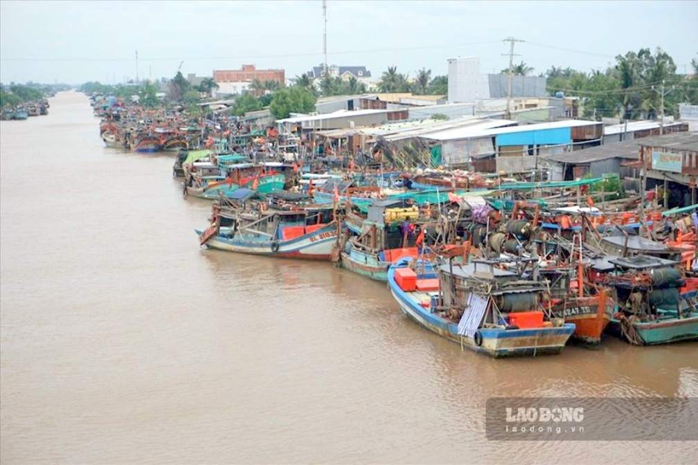 Cà Mau đang kiểm tra tàu cá công suất nhỏ để chuyển đổi nghề cho ngư dân. Ảnh: Nhật Hồ.