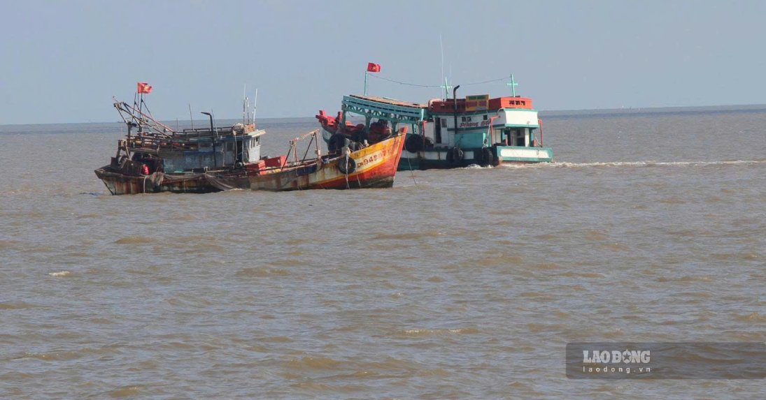 Most fishing vessels in Ca Mau are registered and inspected. Photo: Nhat Ho.