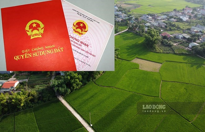 4 commercial and service land plots in Lai Chau are about to be auctioned. Photo: Tan Van