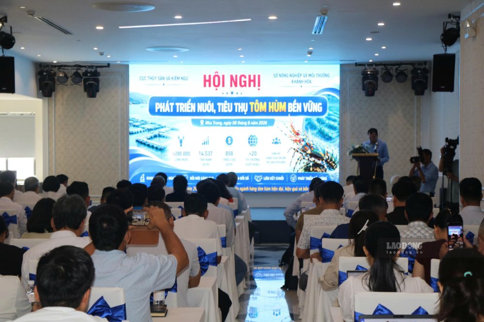 Nhiều nội dung liên quan đến định hướng phát triển nuôi và tiêu thụ tôm hùm bền vững được chia sẻ. Ảnh: Phương Linh