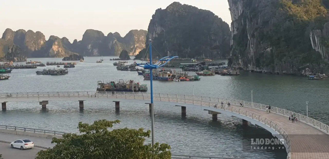 120 beauties participating in the Miss World contest are expected to take photos at Cau Cong on the shore of Ha Long Bay. Photo: Nguyen Hung