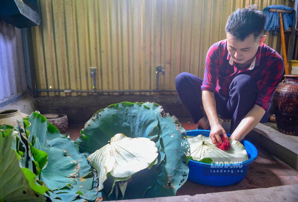 Những chiếc lá sen được làm sạch trước khi tiến hành các công đoạn quan trọng. Ảnh: Quách Du