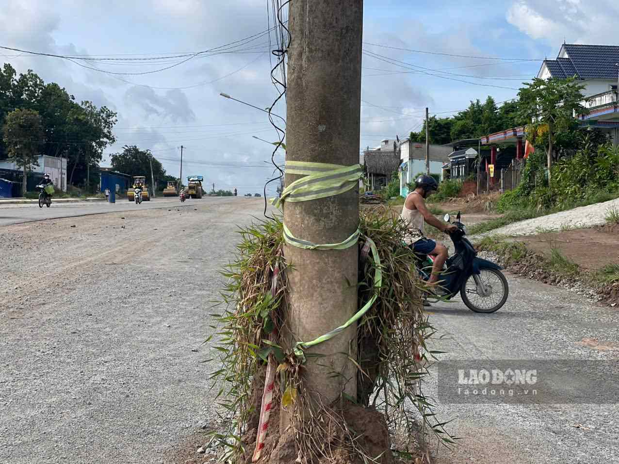 Trên các cột điện đã buộc dây phản quang. Ảnh: Đình Trọng