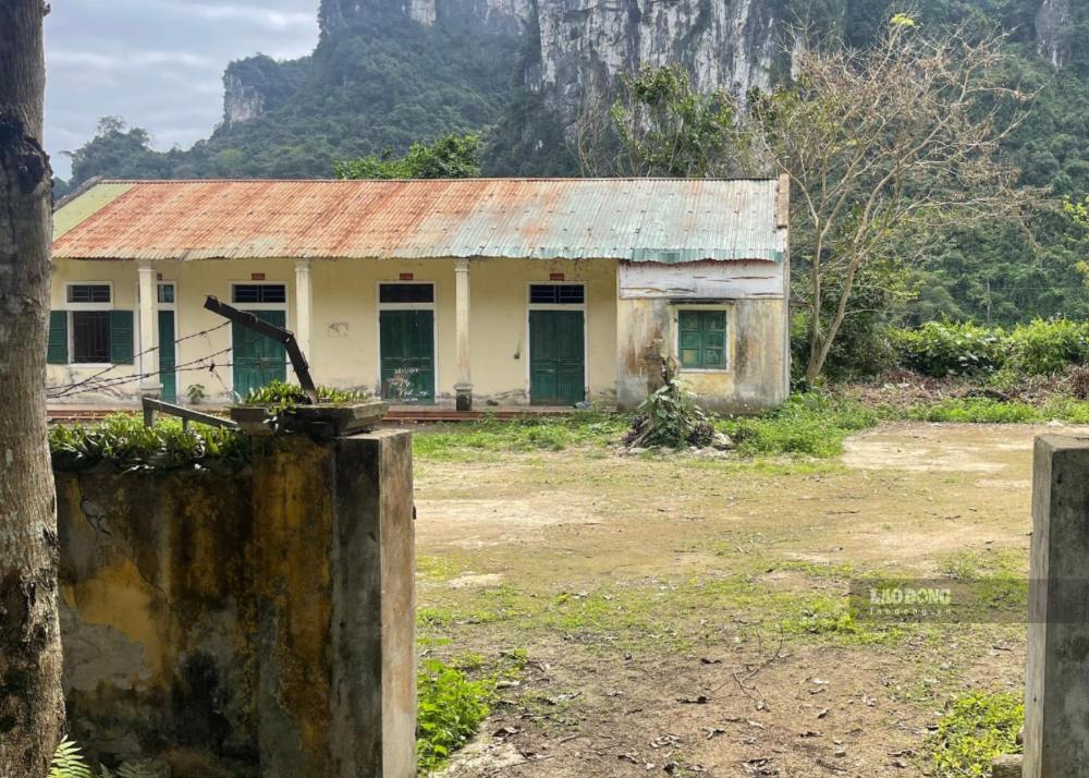 ゲアン茶総公社株式会社が管理するコンクオンコミューンの8,672平方メートル以上の土地が、直接使用せず、不法占拠が発生したため、収用されました。写真:ズイ・チュオン