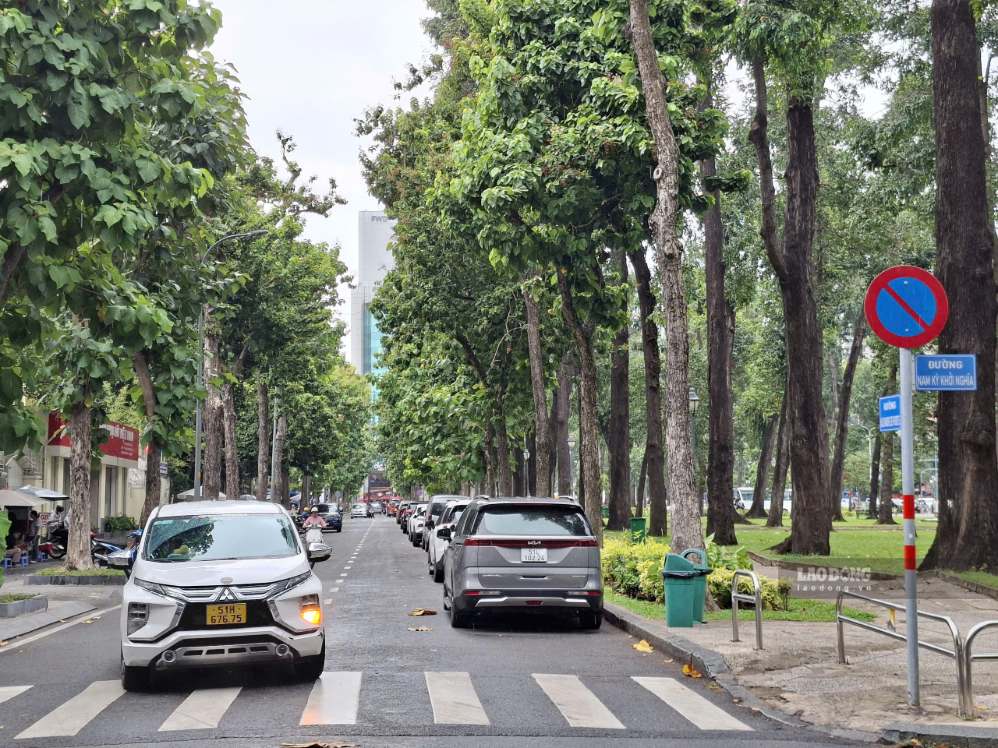 Ôtô nối đuôi đỗ trên đường Alexandre de Rhodes (phường Sài Gòn, TPHCM) dù bị cấm.  Ảnh: Minh Quâm