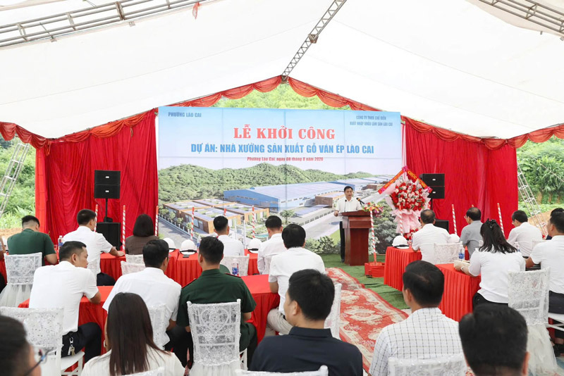 Lao Cai starts construction of a pressing sheet factory with a capacity of 200,000 m3 per year. Photo: Lao Cai Ward People's Committee