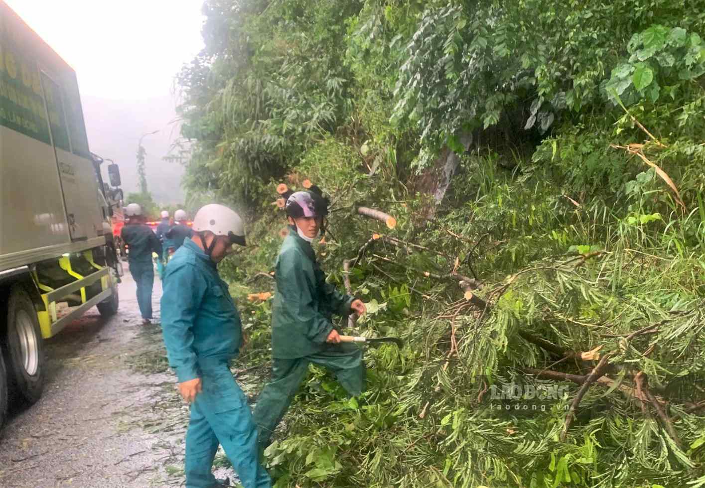 Lực lượng dân quân xã Đạ Huoai 2 phối hợp giải phóng hiện trường cây rừng ngã đổ trên đèo Bảo Lộc sau mưa lớn. Ảnh: Phúc Khánh