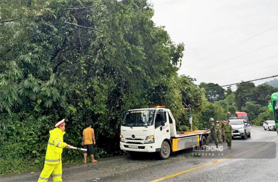 Cán bộ, chiến sĩ Trạm Cảnh sát giao thông Mađaguôi phối hợp điều tiết, phân luồng, bảo đảm an toàn giao thông tại các vị trí cây rừng ngã đổ trên đèo Bảo Lộc. Ảnh: Phúc Khánh
