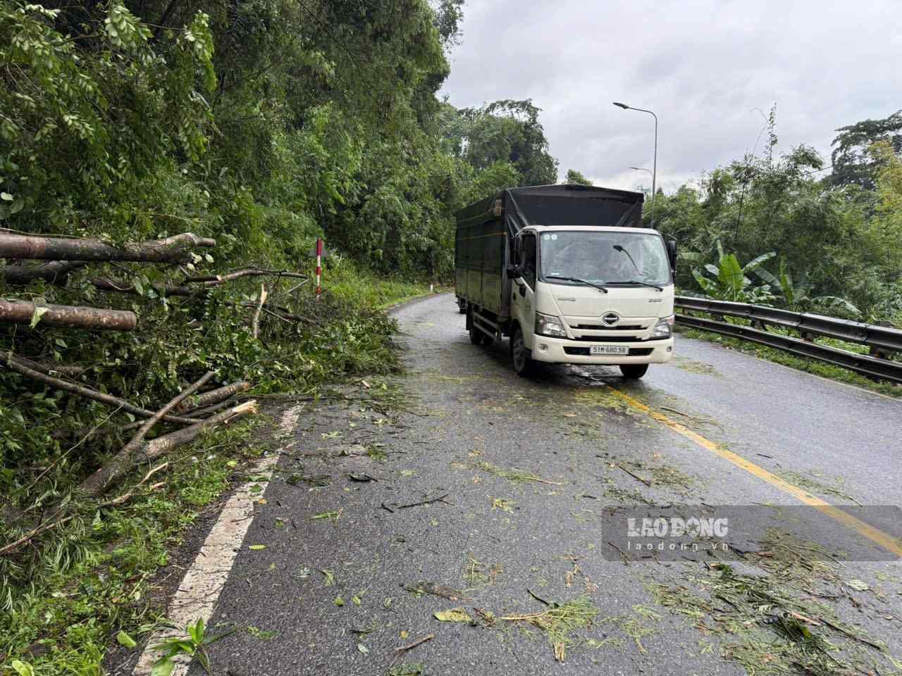 Đến khoảng 17h cùng ngày, các vị trí cây rừng ngã đổ trên đèo Bảo Lộc đã được giải phóng, giao thông trở lại bình thường. Ảnh: Phúc Khánh