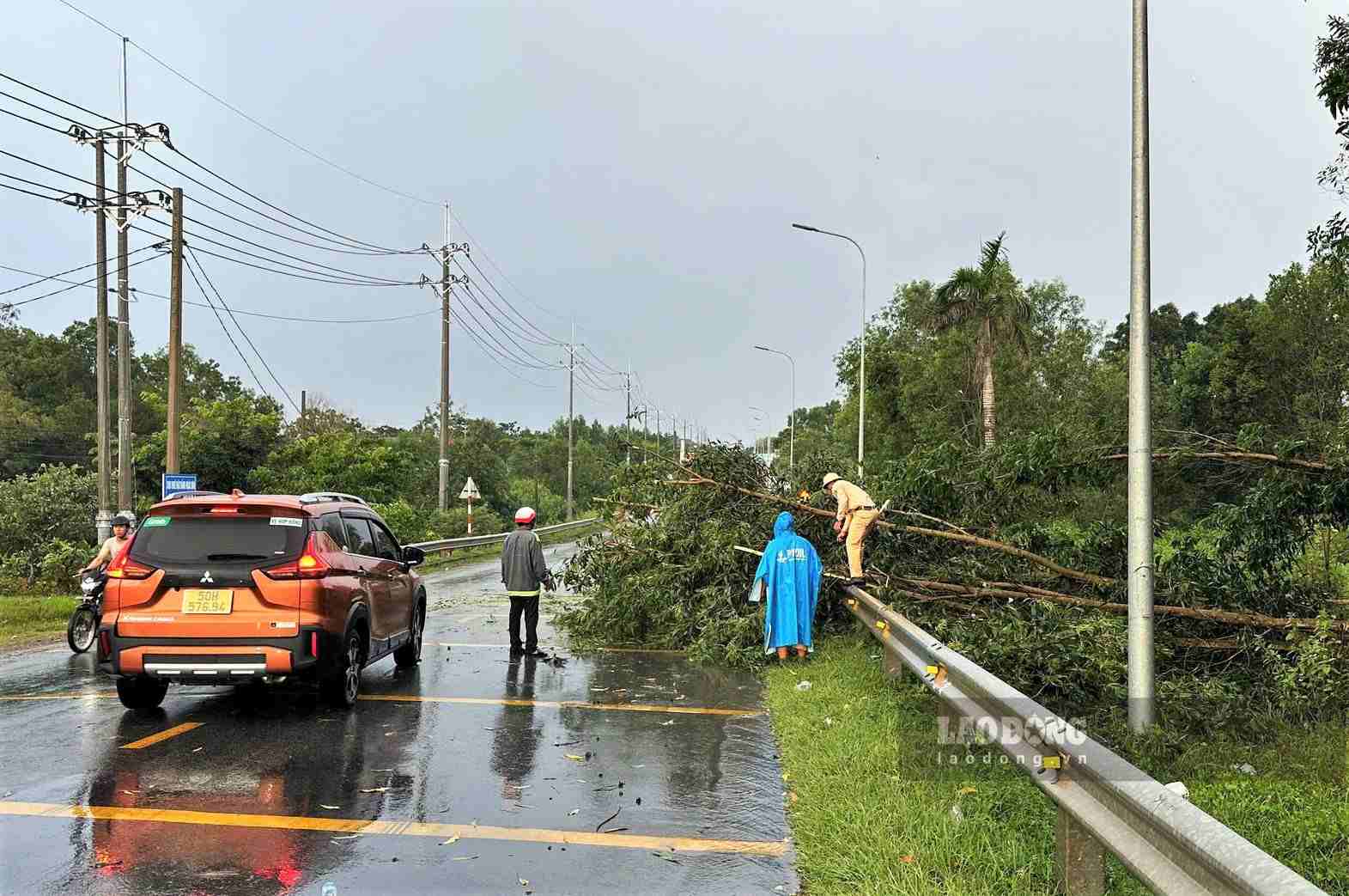 Cây xanh ngã đổ chắn ngang đường trên Quốc lộ 55 vào chiều 8.8. Ảnh: Luân Nguyễn