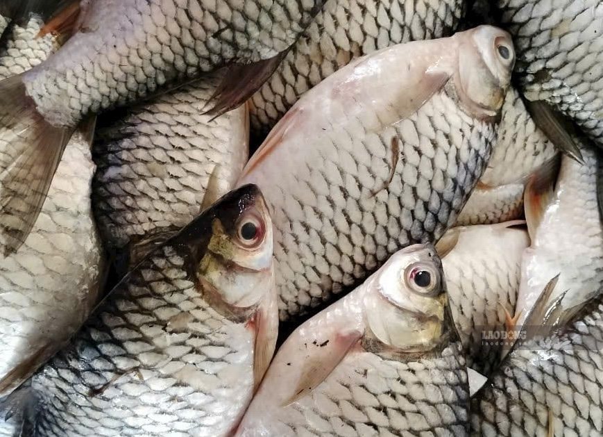 There are many simple ways to remove fish fish fishy smell. Photo: Kieu Vu