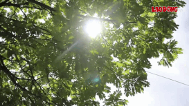 Weather today August 9th: Intense heat increases in the North