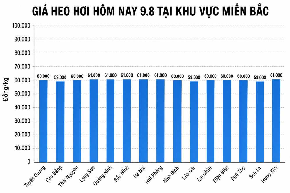 Giá heo hơi hôm nay 9.8 tại khu vực miền Bắc. Đồ họa sử dụng AI