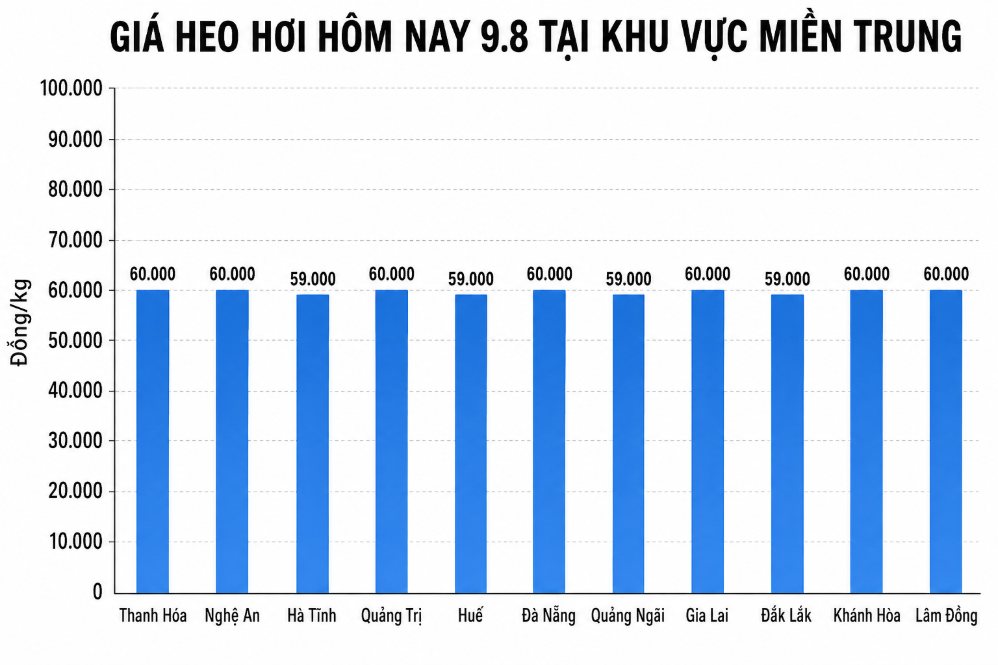 Giá heo hơi hôm nay 9.8 tại khu vực miền Trung. Đồ họa sử dụng AI