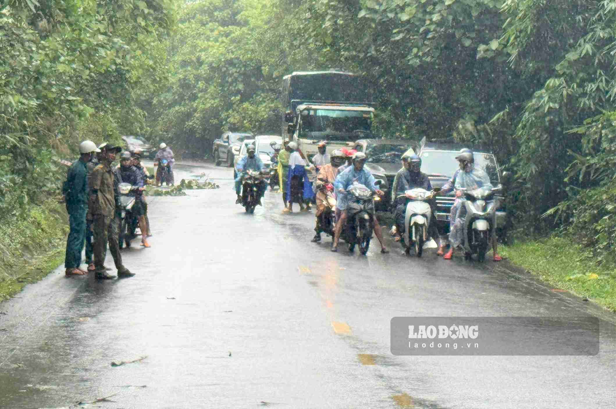 Sạt lở khiến phương tiện lưu thông qua đèo Con Ó bị ùn ứ cục bộ. Ảnh: Phúc Khánh 