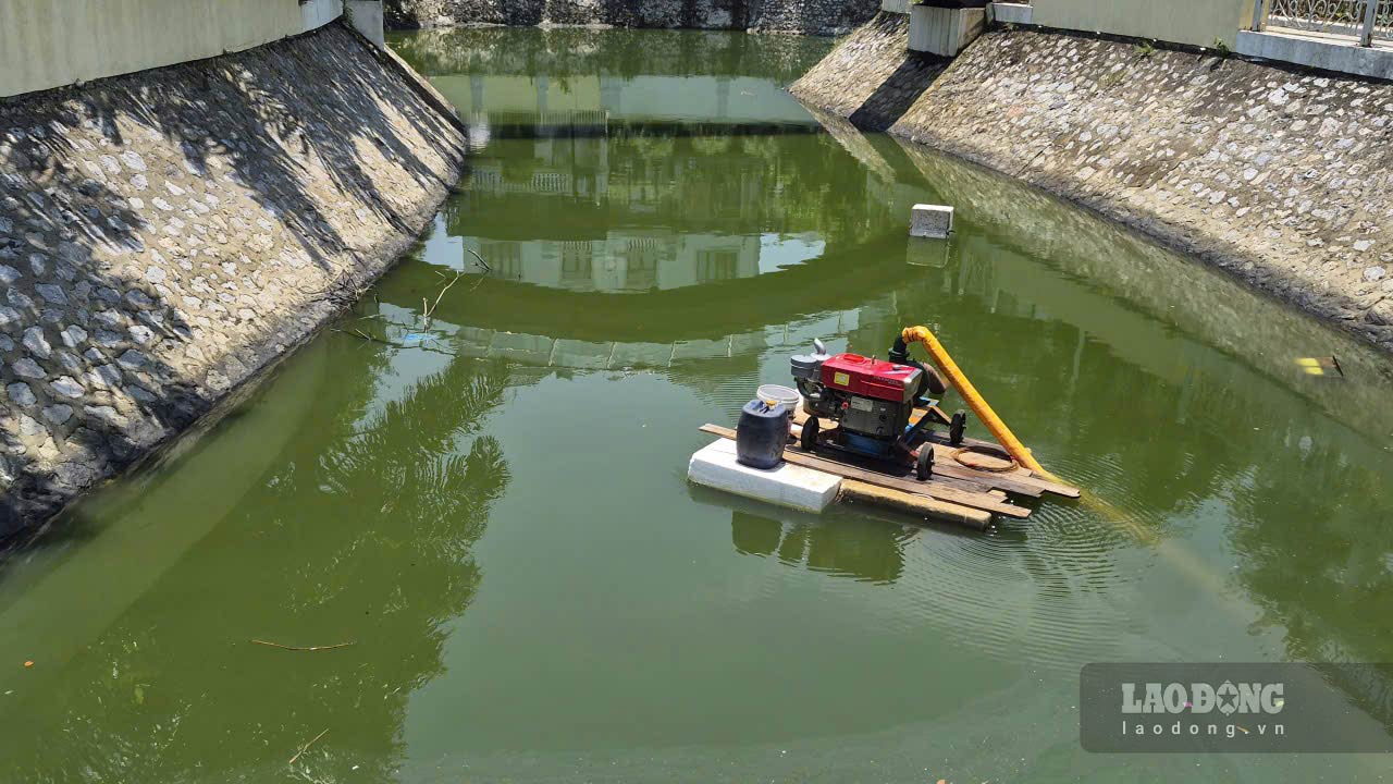 ハロン区モンベイ都市圏で深刻に汚染されている運河システムの泥を浚するために水を汲み上げています。写真:グエン・フン