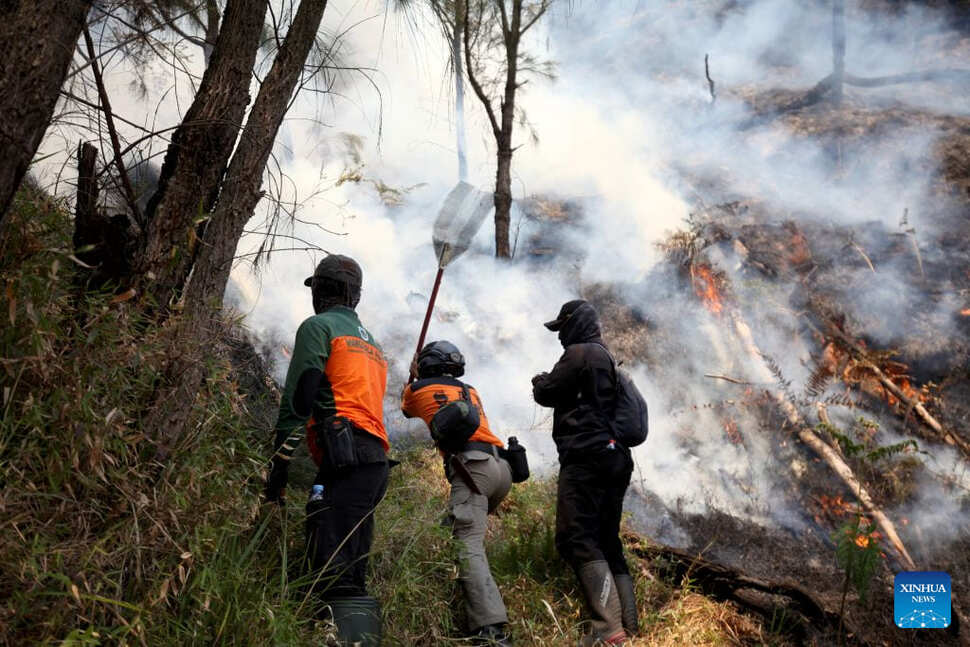 Firefighters make efforts to extinguish the fire at Bromo Tengger Semeru National Park, Indonesia. Photo: Xinhua