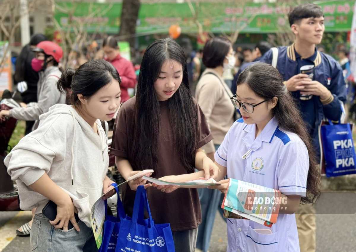 남딘 간호대학교, 2026년 합격 점수 발표. 사진: 남딘 간호대학교