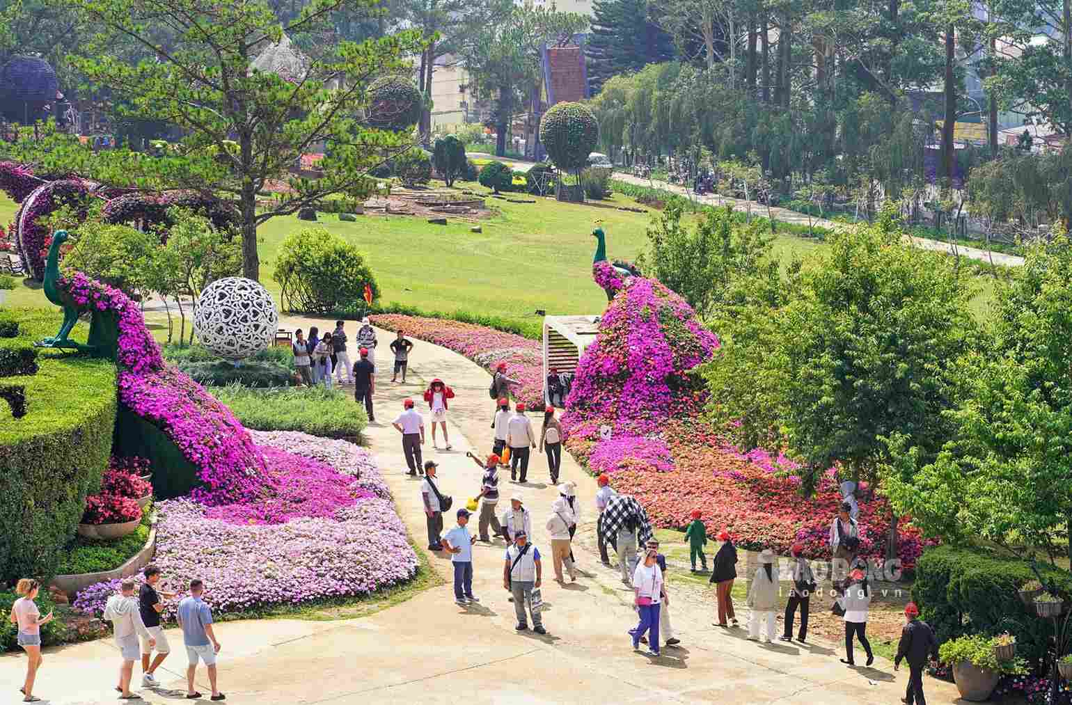Lâm Đồng là địa phương có nhiều thế mạnh phát triển du lịch. Ảnh: Phúc Khánh