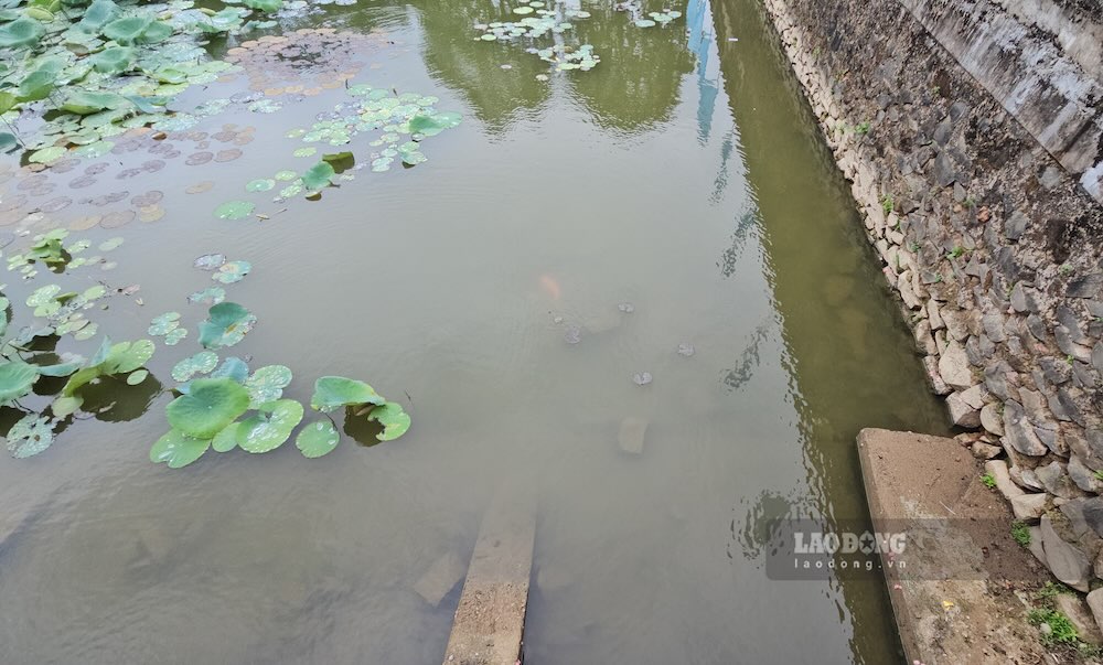 Các mảng bê tông và vật liệu thừa chìm dưới mực nước sâu ngay khu vực trước cổng chính di tích mới được ghi nhận. Ảnh: Hưng Thơ