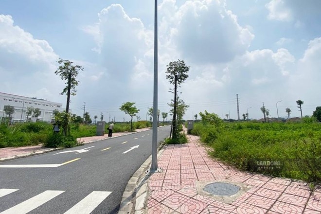 Taxing abandoned land, limiting hoarding land plots waiting for price increases. Photo: Nhu Ha