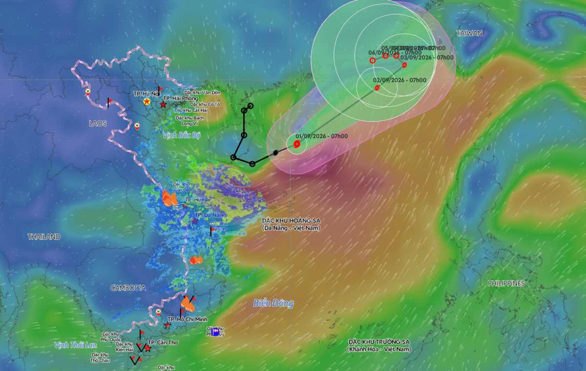 The tropical depression in the East Sea has officially strengthened into a storm. Photo: Vietnam Disaster Monitoring System