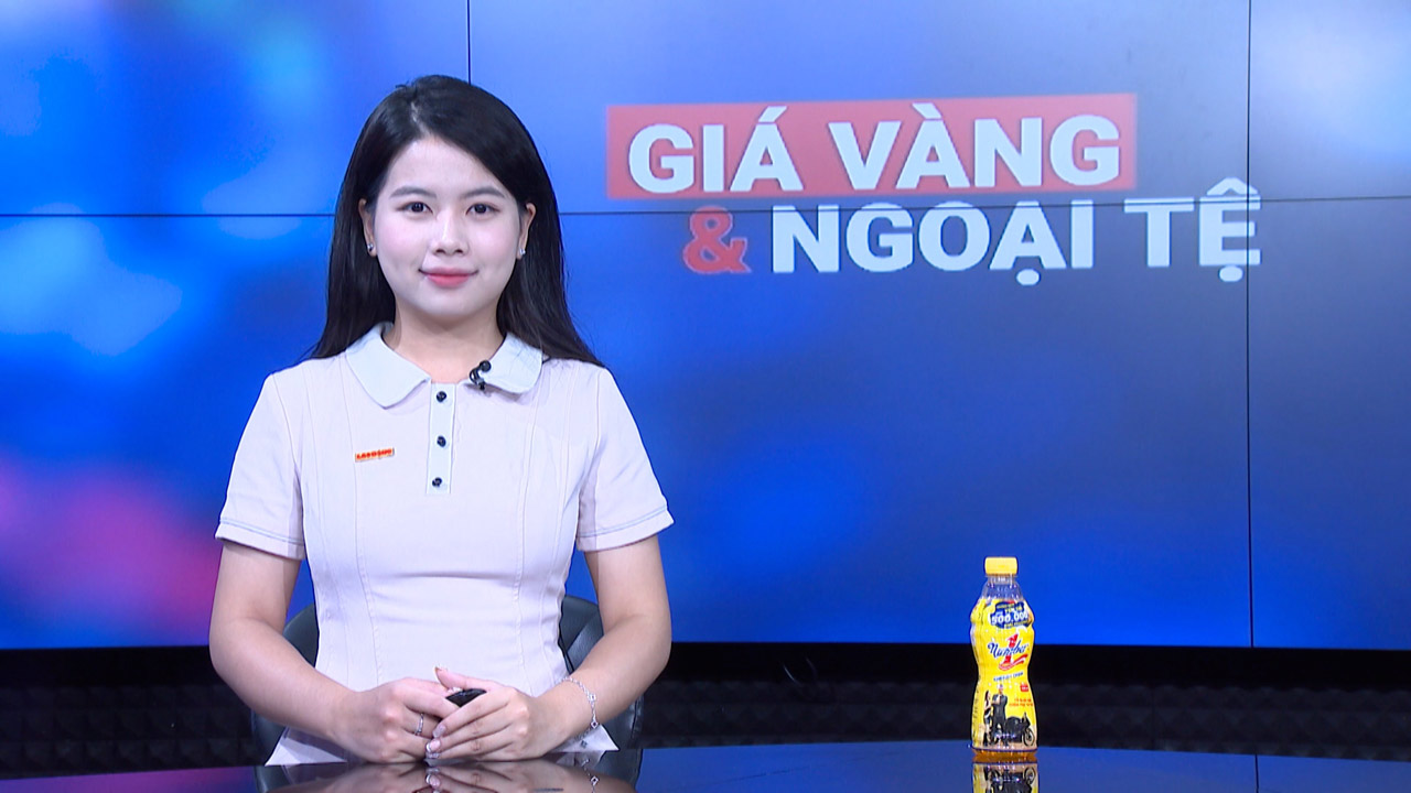 Gold and foreign currency prices 1.9: Gold under downward pressure