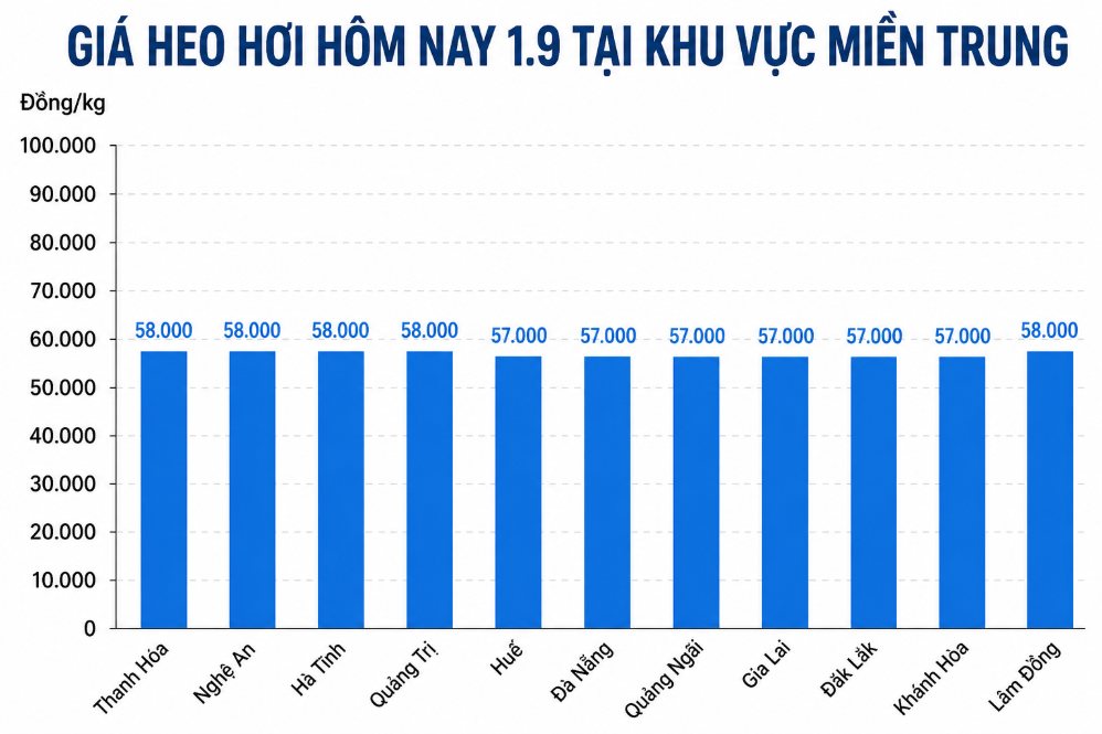 Giá heo hơi hôm nay 1.9 tại khu vực miền Trung. Đồ họa sử dụng AI