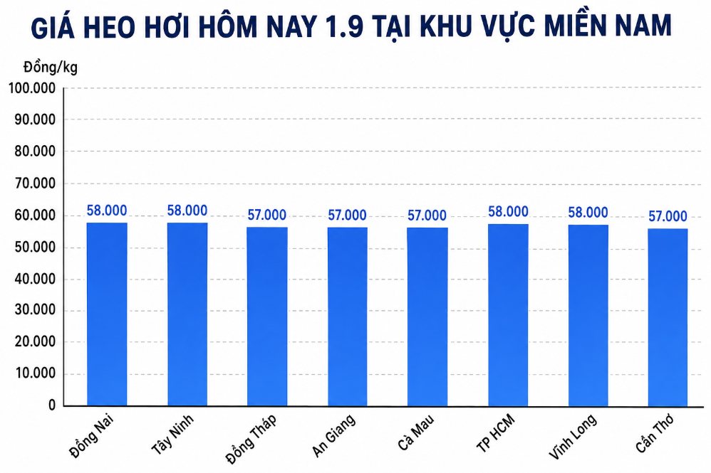 Giá heo hơi hôm nay 1.9 tại khu vực miền Nam. Đồ họa sử dụng AI