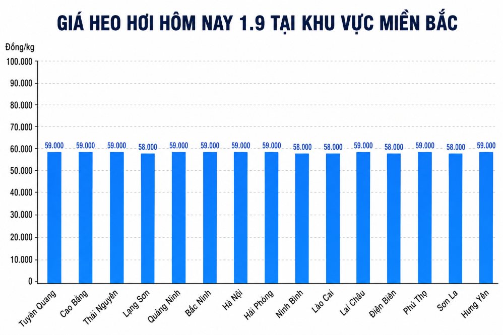 Giá heo hơi hôm nay 1.9 tại khu vực miền Bắc. Đồ họa sử dụng AI