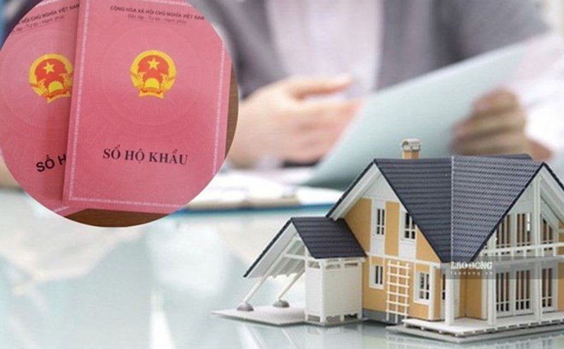 Readers wonder about the principle of land inheritance division when there is no will. Photo: Minh Huy