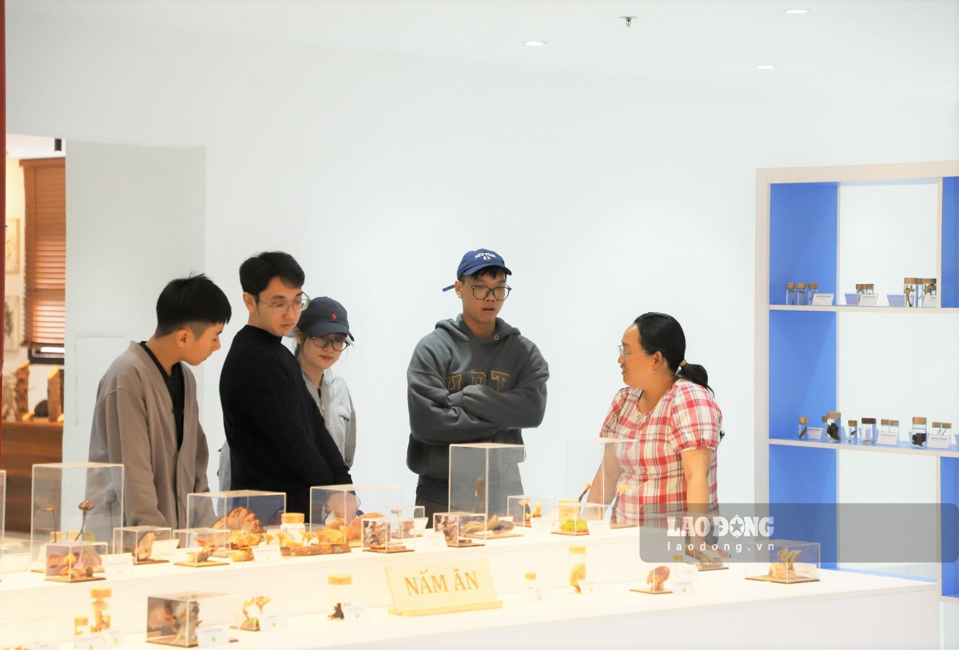 Tourists visit and explore the Biology Museum in Da Lat. Photo: Phuc Khanh