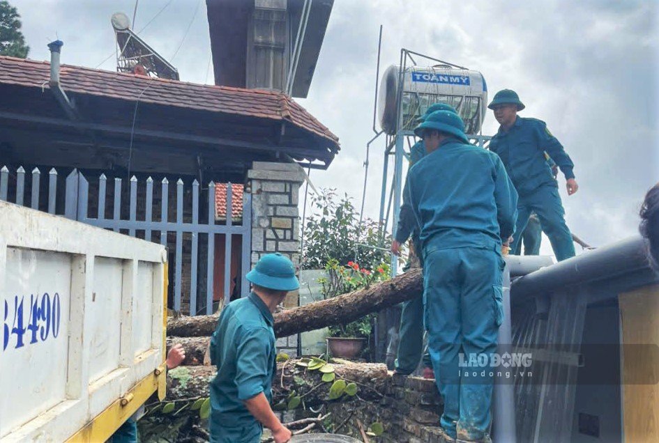 Các lực lượng tập trung cắt cưa giải phóng hiện trường cây thông đổ vào khu dân cư. Ảnh: Hậu Nguyễn 